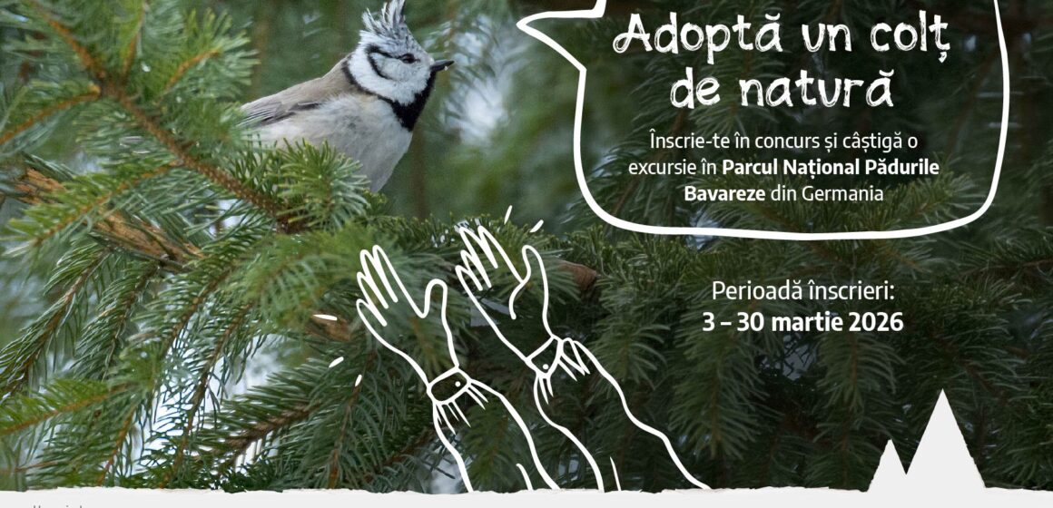 Copiii din jurul Munților Făgăraș pot ajunge în Parcul Național Pădurile Bavareze prin programul „Adoptă un colț de natură”