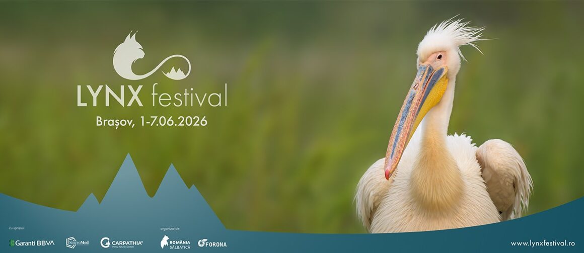 Natura este vedetă de cinema la a patra ediție LYNX Festival: Brașov 1-7 iunie 2026