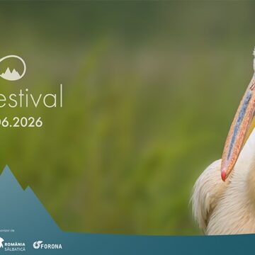 Natura este vedetă de cinema la a patra ediție LYNX Festival: Brașov 1-7 iunie 2026