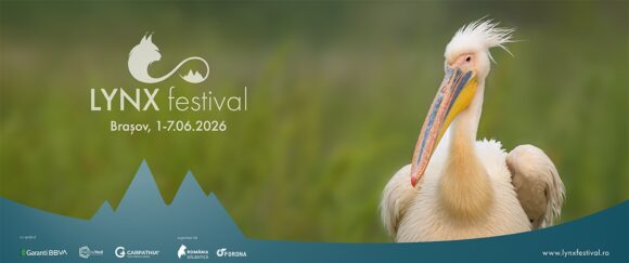Natura este vedetă de cinema la a patra ediție LYNX Festival: Brașov 1-7 iunie 2026