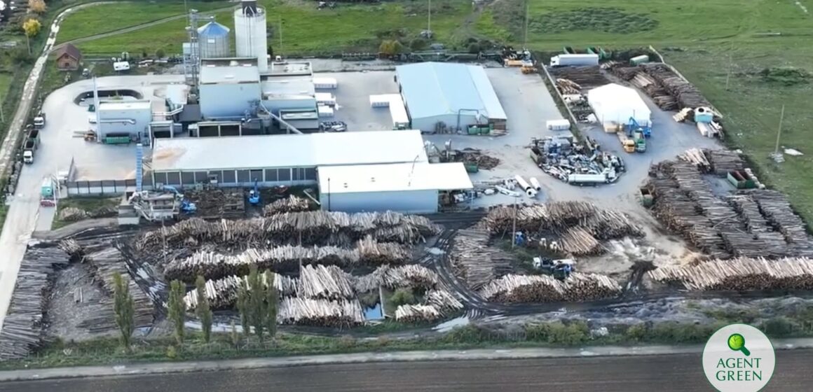 Agent Green câștigă procesul SLAPP intentat de Ameco pentru articolul din New York Times | Organizația cere Parlamentului României să urgenteze adoptarea directivei SLAPP Agent Green câștigă procesul SLAPP intentat de Ameco pentru articolul din New York Times | Organizația cere Parlamentului României să urgenteze adoptarea directivei SLAPP