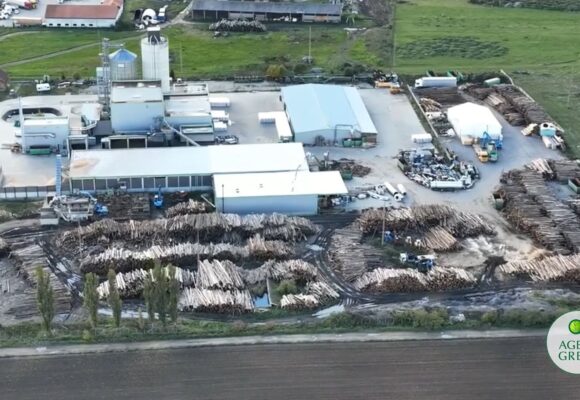 Agent Green câștigă procesul SLAPP intentat de Ameco pentru articolul din New York Times | Organizația cere Parlamentului României să urgenteze adoptarea directivei SLAPP