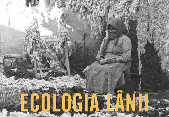 Expoziția „Ecologia Lânii – de la universul Mioriței și păstoritul tradițional la utilizări contemporane” la Muzeul Civilizației Urbane a Brașovului Expoziția „Ecologia Lânii – de la universul Mioriței și păstoritul tradițional la utilizări contemporane” la Muzeul Civilizației Urbane a Brașovului