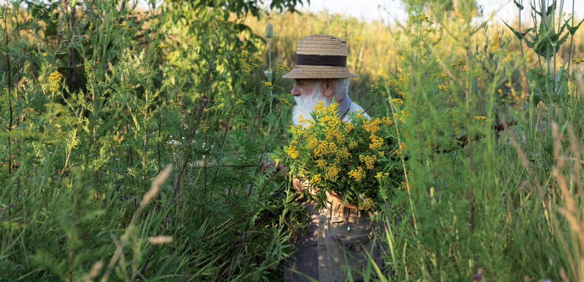 Cea mai amplă expoziție dedicată lui Ștefan Câlția se deschide la Sibiu: „Transilvania | Extravaganza”