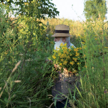 Cea mai amplă expoziție dedicată lui Ștefan Câlția se deschide la Sibiu: „Transilvania | Extravaganza” Cea mai amplă expoziție dedicată lui Ștefan Câlția se deschide la Sibiu: „Transilvania | Extravaganza”