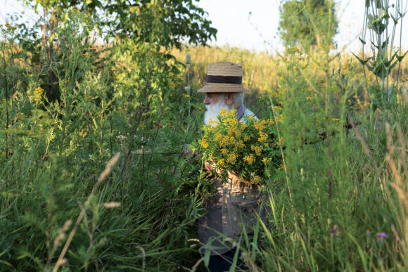 Cea mai amplă expoziție dedicată lui Ștefan Câlția se deschide la Sibiu: „Transilvania | Extravaganza”