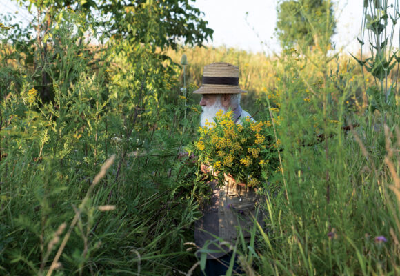 Cea mai amplă expoziție dedicată lui Ștefan Câlția se deschide la Sibiu: „Transilvania | Extravaganza” Cea mai amplă expoziție dedicată lui Ștefan Câlția se deschide la Sibiu: „Transilvania | Extravaganza”