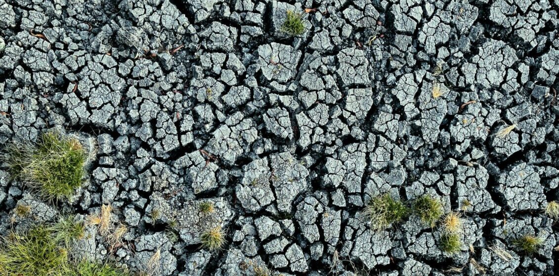 Când căldura și seceta fac front comun: semnal de alarmă pentru finalul secolului