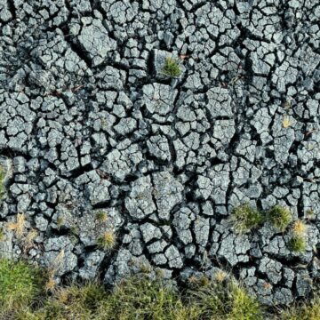 Când căldura și seceta fac front comun: semnal de alarmă pentru finalul secolului