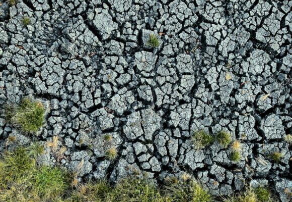 Când căldura și seceta fac front comun: semnal de alarmă pentru finalul secolului