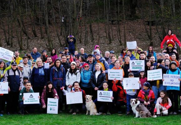 SCUT pentru Spații Verzi a lansat petiția Fără mașini pe Tâmpa!