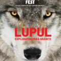 „Wolf”, documentarul multipremiat despre revenirea lupului în Europa, ajunge la Făgăraș Fest 2026