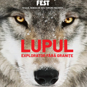 „Wolf”, documentarul multipremiat despre revenirea lupului în Europa, ajunge la Făgăraș Fest 2026