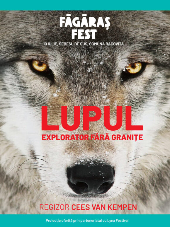 „Wolf”, documentarul multipremiat despre revenirea lupului în Europa, ajunge la Făgăraș Fest 2026