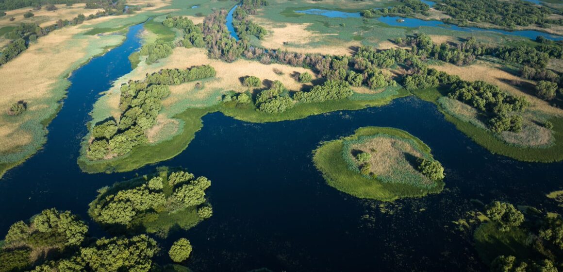 „Delta Sălbatică”, primul documentar românesc de amploare dedicat Deltei Dunării, prezentat în premieră în cadrul LYNX FESTIVAL