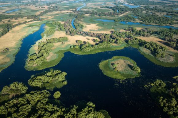 „Delta Sălbatică”, primul documentar românesc de amploare dedicat Deltei Dunării, prezentat în premieră în cadrul LYNX FESTIVAL