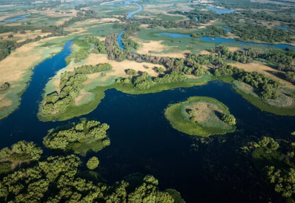 „Delta Sălbatică”, primul documentar românesc de amploare dedicat Deltei Dunării, prezentat în premieră în cadrul LYNX FESTIVAL