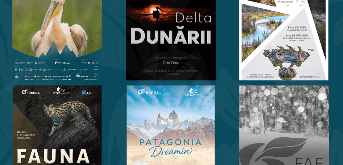 Spectacolul naturii se dezvăluie la Brașov în expozițiile de fotografie de la LYNX festival
