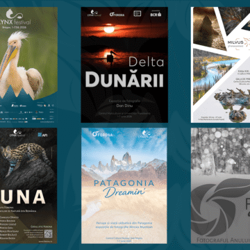 Spectacolul naturii se dezvăluie la Brașov în expozițiile de fotografie de la LYNX festival