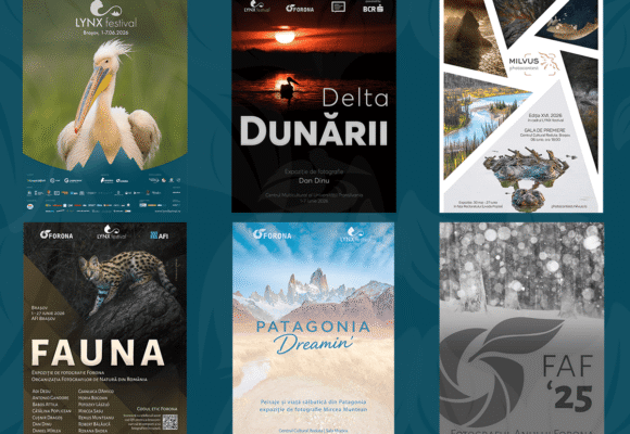 Spectacolul naturii se dezvăluie la Brașov în expozițiile de fotografie de la LYNX festival