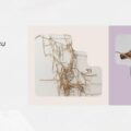 Timișoara | Dialog deschis, curatoarea Diana Marincu și artistul conceptual Mihai Toth la închiderea expozițiilor Nona Inescu și Oláh Gyárfás
