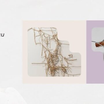 Timișoara | Dialog deschis, curatoarea Diana Marincu și artistul conceptual Mihai Toth la închiderea expozițiilor Nona Inescu și Oláh Gyárfás