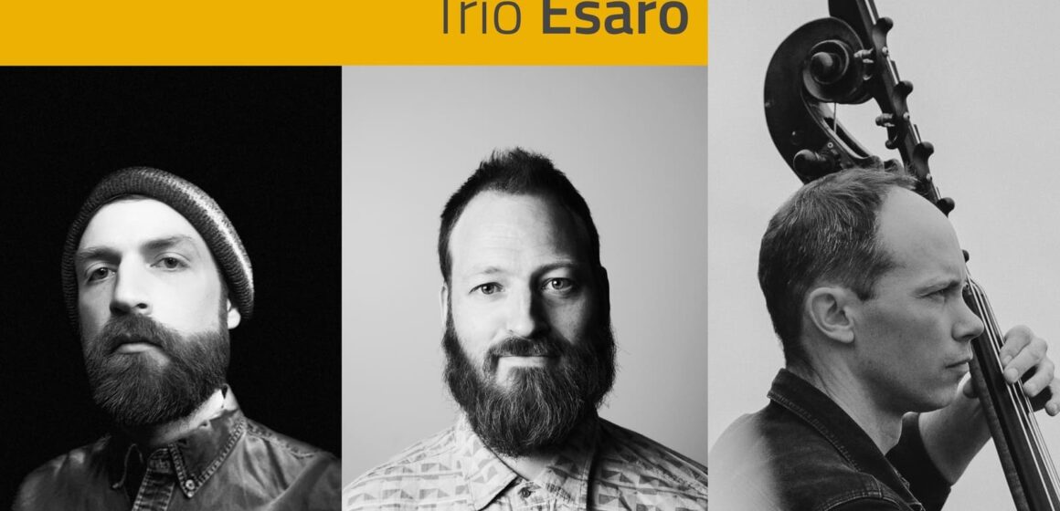 Chamber Jazz @ Universitatea Transilvania: Miles Perkin, Jeremy Viner & Simon Jermyn Chamber Jazz @ Universitatea Transilvania: Miles Perkin, Jeremy Viner & Simon Jermyn