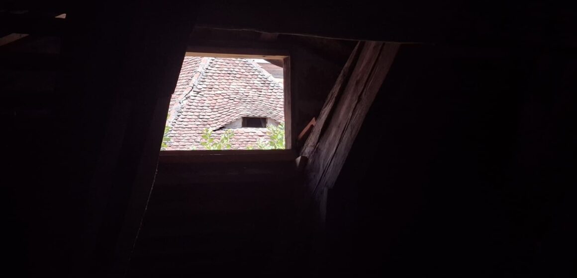 Călătorie culturală în orașul ochilor de sus