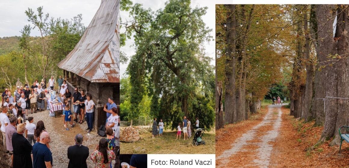 Fain de Dragu: două zile în care patrimoniul a devenit loc de întâlnire. Proiectul Cu Drag de patrimoniu continuă în toamnă cu noi cercetări, intervenții și întâlniri dedicate comunității Fain de Dragu: două zile în care patrimoniul a devenit loc de întâlnire. Proiectul Cu Drag de patrimoniu continuă în toamnă cu noi cercetări, intervenții și întâlniri dedicate comunității