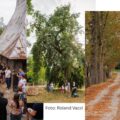 Fain de Dragu: două zile în care patrimoniul a devenit loc de întâlnire. Proiectul Cu Drag de patrimoniu continuă în toamnă cu noi cercetări, intervenții și întâlniri dedicate comunității