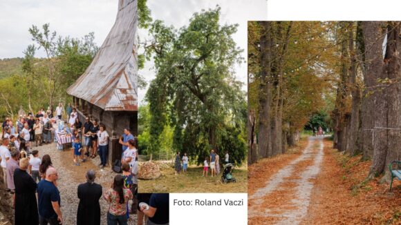 Fain de Dragu: două zile în care patrimoniul a devenit loc de întâlnire. Proiectul Cu Drag de patrimoniu continuă în toamnă cu noi cercetări, intervenții și întâlniri dedicate comunității